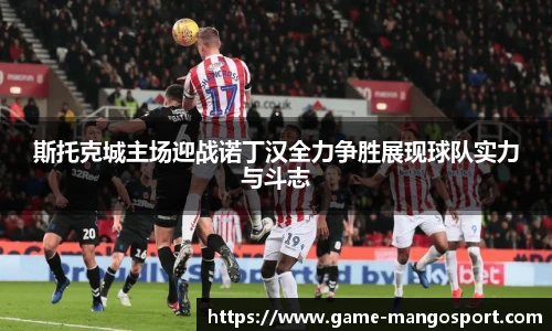 斯托克城主场迎战诺丁汉全力争胜展现球队实力与斗志