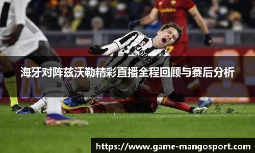 海牙对阵兹沃勒精彩直播全程回顾与赛后分析